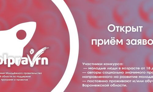 X Конкурс премий Молодежного правительства Воронежской области по поддержке молодежных программ и проектов