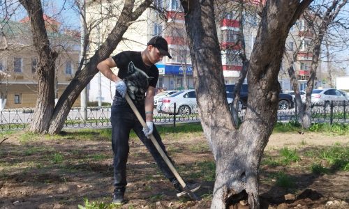 Субботник