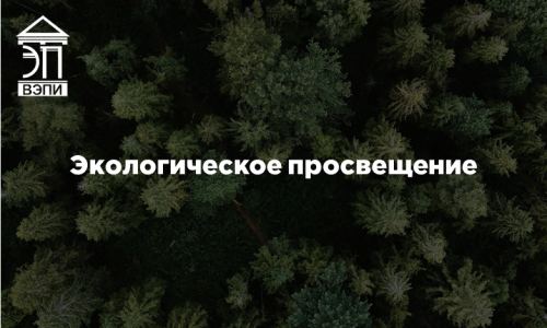 Экологическое просвещение